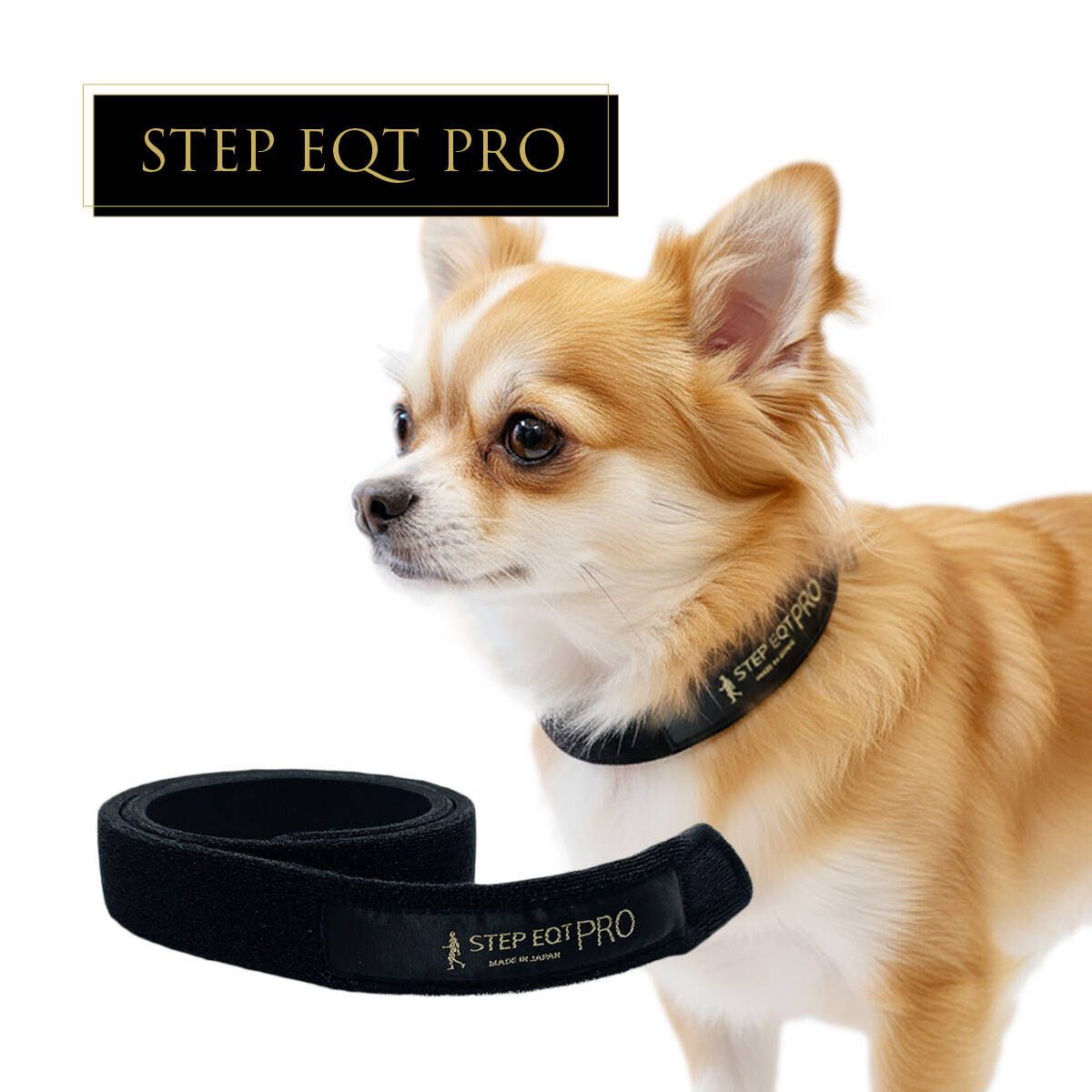 公式】STEP EQT 歩けるくんオンラインショップ | STEP EQT 歩けるくん
