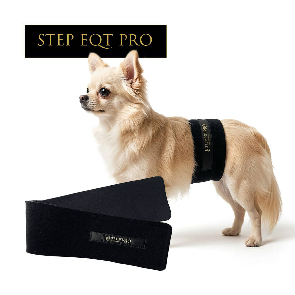 公式】STEP EQT 歩けるくんオンラインショップ | STEP EQT 歩けるくん