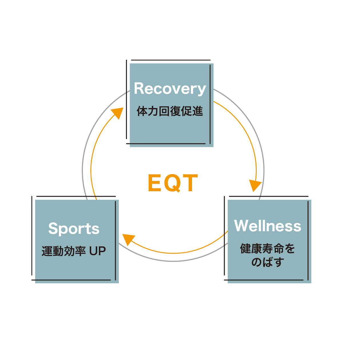 公式】STEP EQT 歩けるくんオンラインショップ | STEP EQT 歩けるくん